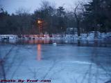 Chilled Dusk Perspective With Swans, Elginwood Pond