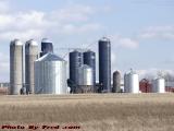 Silos and Storage, Merrimac Farms, Groveland, New York