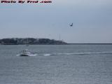 Fishing Boat Returning, Gulls Attending, Gloucester, Mass.