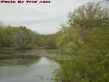 Cloudy Spring Elginwood Pond Perspective, Peabody, Mass.