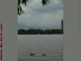 Charles River Perspective With Ducks Under Heavy Skies