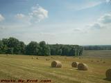 Baled Hay Under Hot Summer Sky, Groveland, New York