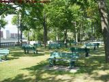 Sunny and Hot, Esplanade Park Benches as No Relief, Boston