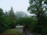 Morning Fog Perspective, Groveland, New York