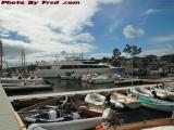 A Yacht in a Crowded Harbor, Camden, Maine
