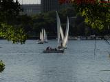 Sunny Summer Afternoon Sailing, Charles River, Boston