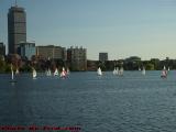 Charles River Sailing on a Sunny Afternoon, from Cambridge