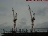 Cranes Standing Against a Cloudy Sky, Assembly Row