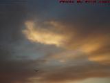 Sunrise Cloudscape With Gull, Everett, Massachusetts