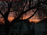 Sunrise View Through Winter Trees, Brookings St., Medford