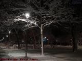 Cambridge Common With New Snow in Available Light