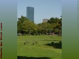 Outdoor Gym With Geese, Upper Esplanade, Boston