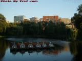 Idle Late Afternoon Swan Boats, Boston Public Garden
