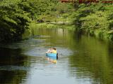 Rowing Recreationally in Summer's Side Ways, Esplanade