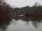 Elginwood Pond Perspective Under Dreary Skies, Peabody