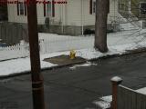 Always Dig Out the Fire Hydrant After Snow