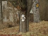 Tree Art, East State Street, Wellsville, New York