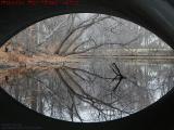 Alewife Brook Under the Mystic Valley Parkway Bridge