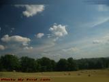 Summer Field With Baled Hay, Groveland, New York