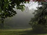 Patchy Morning Fog, Groveland, New York