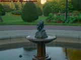 Boston Public Garden Fountain in Day's Last Sunlight