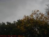 Changing Leaves Under Cloudy Sky, Medford, Massachusetts