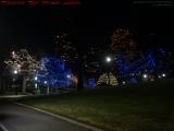 I'm Dreaming of a Green Christmas, Boston Public Garden