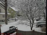 Good Weather to Leave Behind, Brookings Street Snow Storm