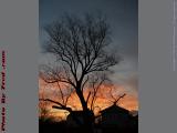 Silhouette on Sunrise, Cambridgeport, Massachusets