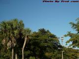 An Expanse of Blue Sky Under Florida Sun, Plantation