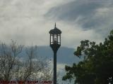 Street Lamp Study on Mostly Cloudy Sky, Plantation