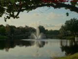 Fountain Perspective in Morning Light, Plantation
