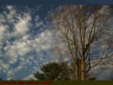 Spring Sky With Clouds, Wellsville, New York