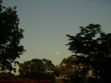 (Full) Moon Over Miami (Approximately), Sawgrass Mills