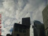 Bird and Partly Sunny Skies, Boston, Massachusetts