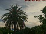 Resting Flag on Plam on Sunset Sky, Plantation, Florida