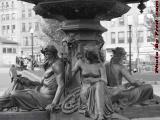 Fountain Study, Public Garden at Tremont Street, Boston