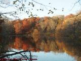 Foliage Reflections, Mystic River, Medford, Mass.