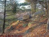 Hillside Path, Wind-Swept Trees, Middlesex Fells, Medford