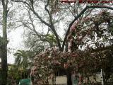 Interior Courtyard Under Rainy Skies, Plantation, Florida
