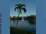 Fountain View, St. Tropez Apartments, Plantation, Florida