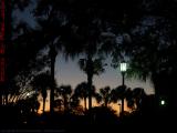 Plantation Sunset With Lit Street Lamps, Florida