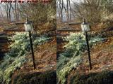 Yard Light Perspective, Lynn, Mass. (cross eye stereo)