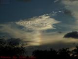 Evening Sun Dog, Davie, Florida