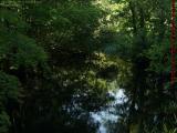 Dammed Spillway With Reflections, Elginwood Pond, Peabody