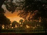 Late Summer Sunset Colors, Plantation, Florida