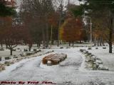 Island Park as Snow Starts Accumulating, Wellsville, NY