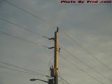 Sunset Light Reflected on Utility Wires, Sunrise, Florida