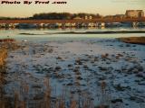 Salt Flats at Low Tide, Revere, Massachusetts