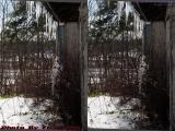 Icicles and Eaves, Groveland, New York (cross eye stereo)